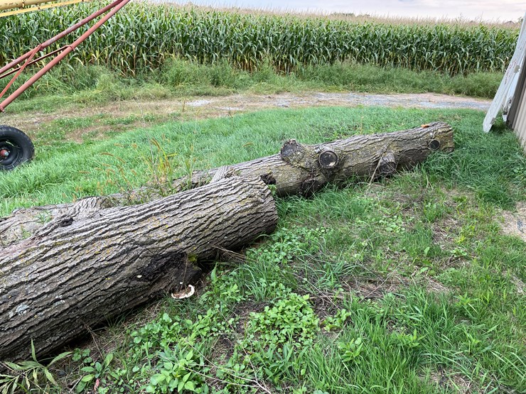 #7136-•-2-logs-image-3