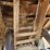 international-loadstar-image-71