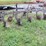 john-deere-5-image-5
