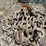 #7162-•-(2)-chains-image-7