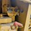 2015-caterpillar-d2-image-10