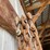 #7138-•-2-chains-and-2-binders-image-10