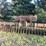 john-deere-400-image-8
