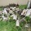 #7132-•-cut-firewood-image-1