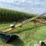 #7109-•-westfield-8"-pto-sd-driven-grain-auger-image-2