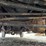 2011-ford-f250-image-31