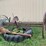 #7129-•-steel-wheel-spring-tine-impliment-image-1