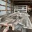 #7147-•-contents-on-flat-rack-wagon-image-2