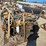 caterpillar-3306-image-12