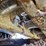 2017-caterpillar-336f-image-89