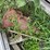 #7126-•-pile-of-used-garage-doors,-sheet-metal-and-more-image-14