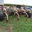glencoe-soil-saver-image-4