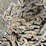 #7162-•-(2)-chains-image-10