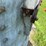 #7111-•-behlen-galvanized-grain-bin-image-9