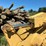 caterpillar-943-image-14