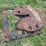 #7123-•-holland-semi-5th-wheel-plate-image-2