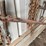 #7138-•-2-chains-and-2-binders-image-5