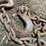 #7162-•-(2)-chains-image-2