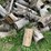 #7132-•-cut-firewood-image-4