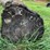 #7136-•-2-logs-image-6