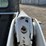 2012-bobcat-t180-image-44