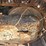 deere-160g-lc-image-68