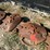new-holland-617-image-21