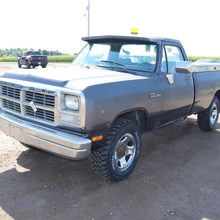 1991 DODGE D250