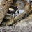 2017-caterpillar-336f-image-77