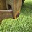 massey-ferguson-55c-image-16