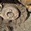caterpillar-953-image-34
