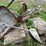 #7121-•-lot-of-scrap-and-concrete-slabs-image-6