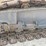 terex-hc110-image-31