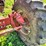case-ih-1680-image-64