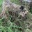 #7136-•-2-logs-image-8