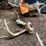 #7197-•-(3)-whitetail-skulls-image-7