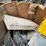 #7185-•-box-of-plastic-organizing-containers-image-5