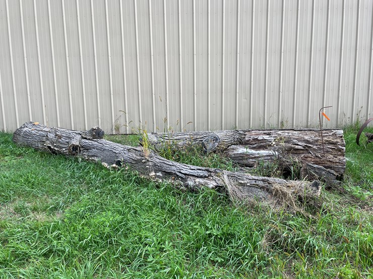 #7136-•-2-logs-image-1