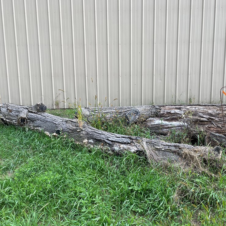 #7136 • 2 Logs