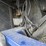 2009-ford-f550-image-52