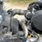2007-ford-f750-image-8