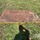 orthman-soilmover-75rf-image-29