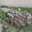 #7136-•-2-logs-image-2