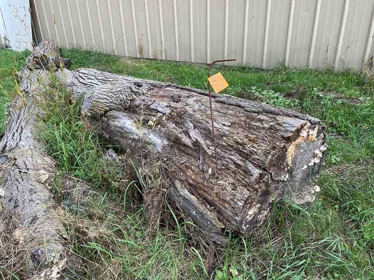 #7136-•-2-logs-image-2