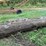 #7136-•-2-logs-image-4