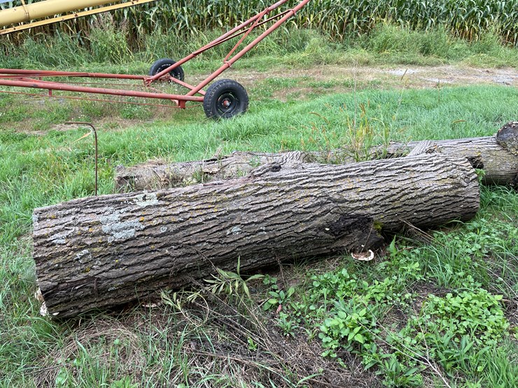 #7136-•-2-logs-image-4