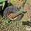 john-deere-205-image-13