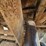 international-loadstar-image-83