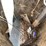 #7189-•-(4)-barrels-and-contents-image-3