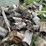 #7132-•-cut-firewood-image-6